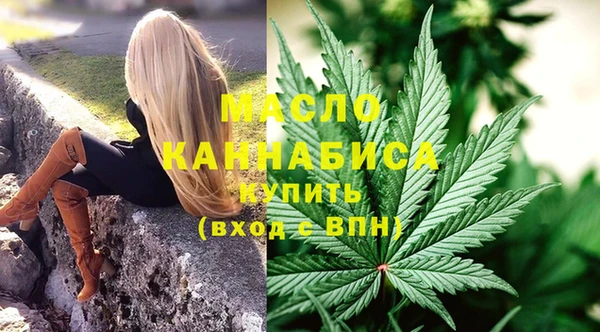 гидра Володарск