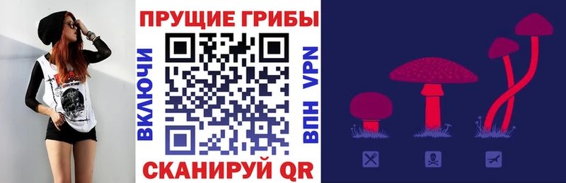 Псилоцибиновые грибы мухоморы  сколько стоит  Очёр 
